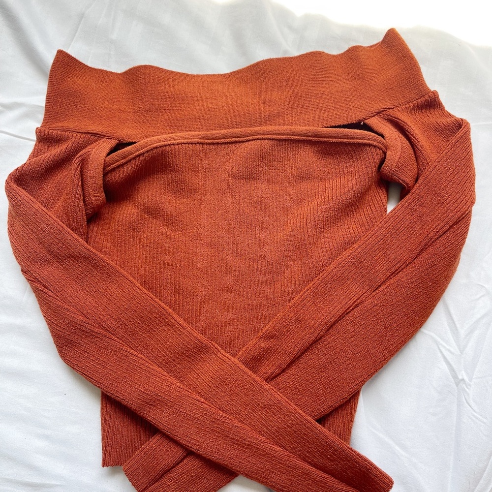 Long Sleeve Crop Top, Off Shoulder / Burnt Orange / Small / Fashion Nova